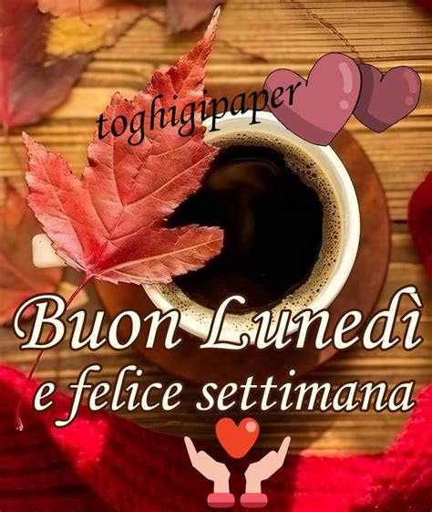 buon lunedì autunnale|foto buon lunedì prima settimana.